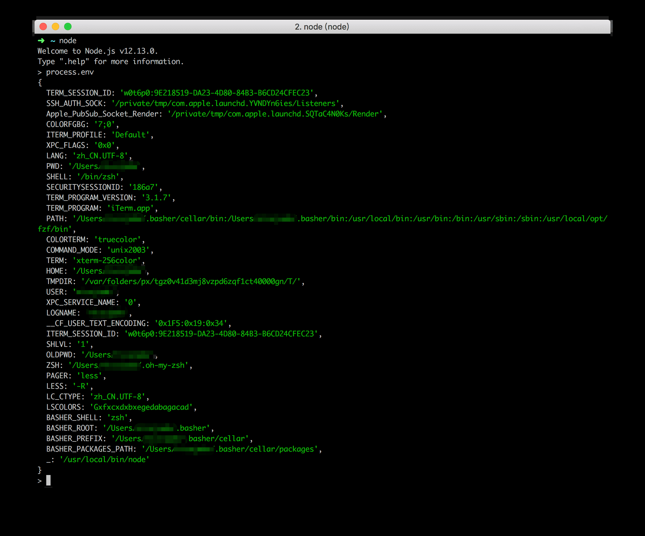 node-process-env